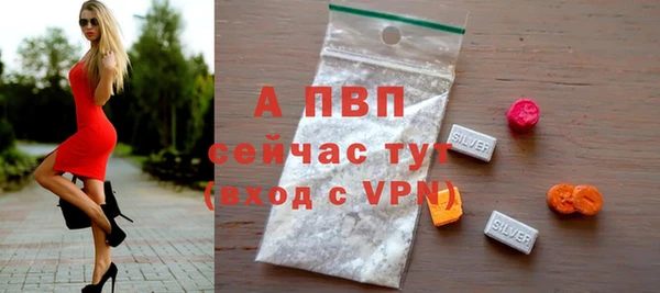 СК Магас