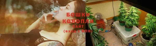 амф Володарск