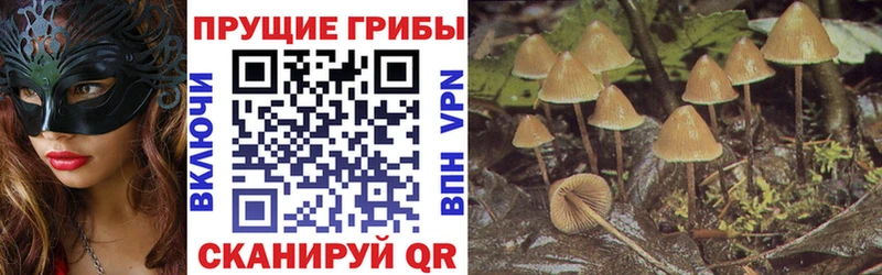 Псилоцибиновые грибы Magic Shrooms  кракен ONION  Терек 